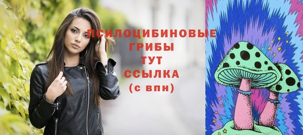 MESCALINE Карпинск