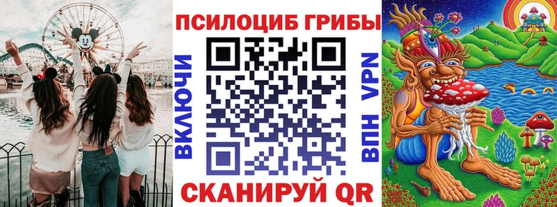 Купить  Белебей  Галлюциногенные грибы Psilocybine cubensis 